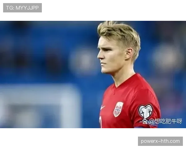 挪威队厄德高中场大脑